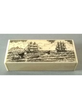 Scatolina In Ivorina Grande